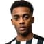 Joe Willock Photo